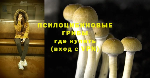 спиды Алексин