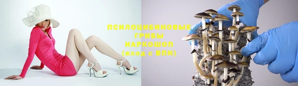 спиды Армянск